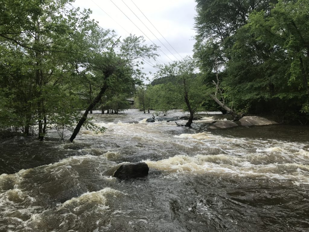 Neuse River Whitewater Park and Play