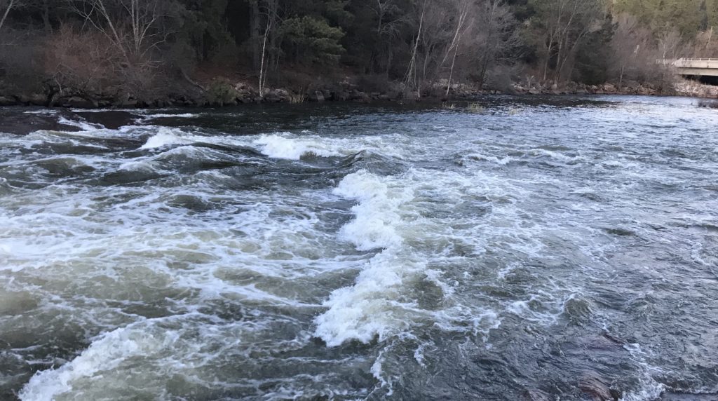 Neuse River Whitewater Kayaking at 1600cfs